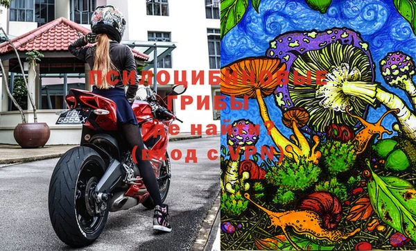 тгк Няндома