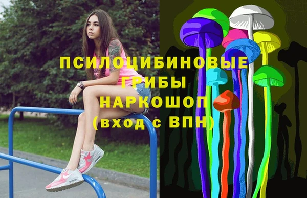 дживик Нягань