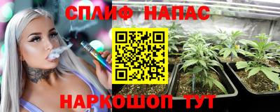 индика Канаш