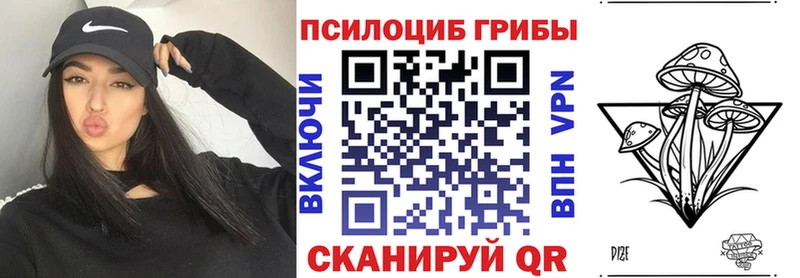 блэк спрут вход  Кудрово  Галлюциногенные грибы Cubensis 