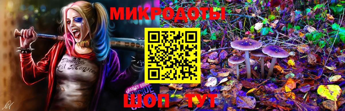 Кудрово  Псилоцибиновые грибы MAGIC MUSHROOMS  Вход с VPN 